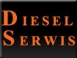 LOGO - DIESEL-SERWIS  POZNAŃ