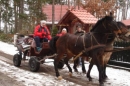 Zdjęcie 7 - Gospodarstwo ELA - USŁUGI AGROTURYSTYCZNE DORADZTWO ROLNICZE - MYSZYNIEC