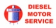 LOGO - DIESEL MOTOR SERVICE  - LUBLIN