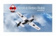 LOGO - AEROKLUB BIELSKO-BIALSKI