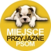 Zdjęcie 8 - Pod winogronami