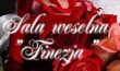 Sala Weselna Finezja Dzierzgoń LOGO - Sala Weselna Finezja Dzierzgoń