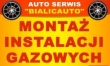 LOGO - AUTO-SERWIS  BIALIC-AUTO