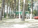 Zdjęcie 2 - Biwak pod sosnami - Okartowo